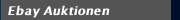 Ebay Auktionen